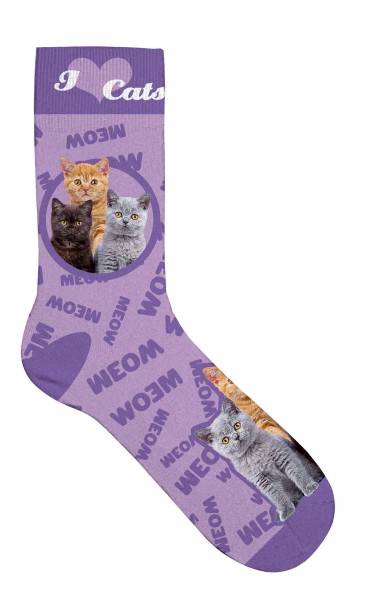 Socken "Kittens"